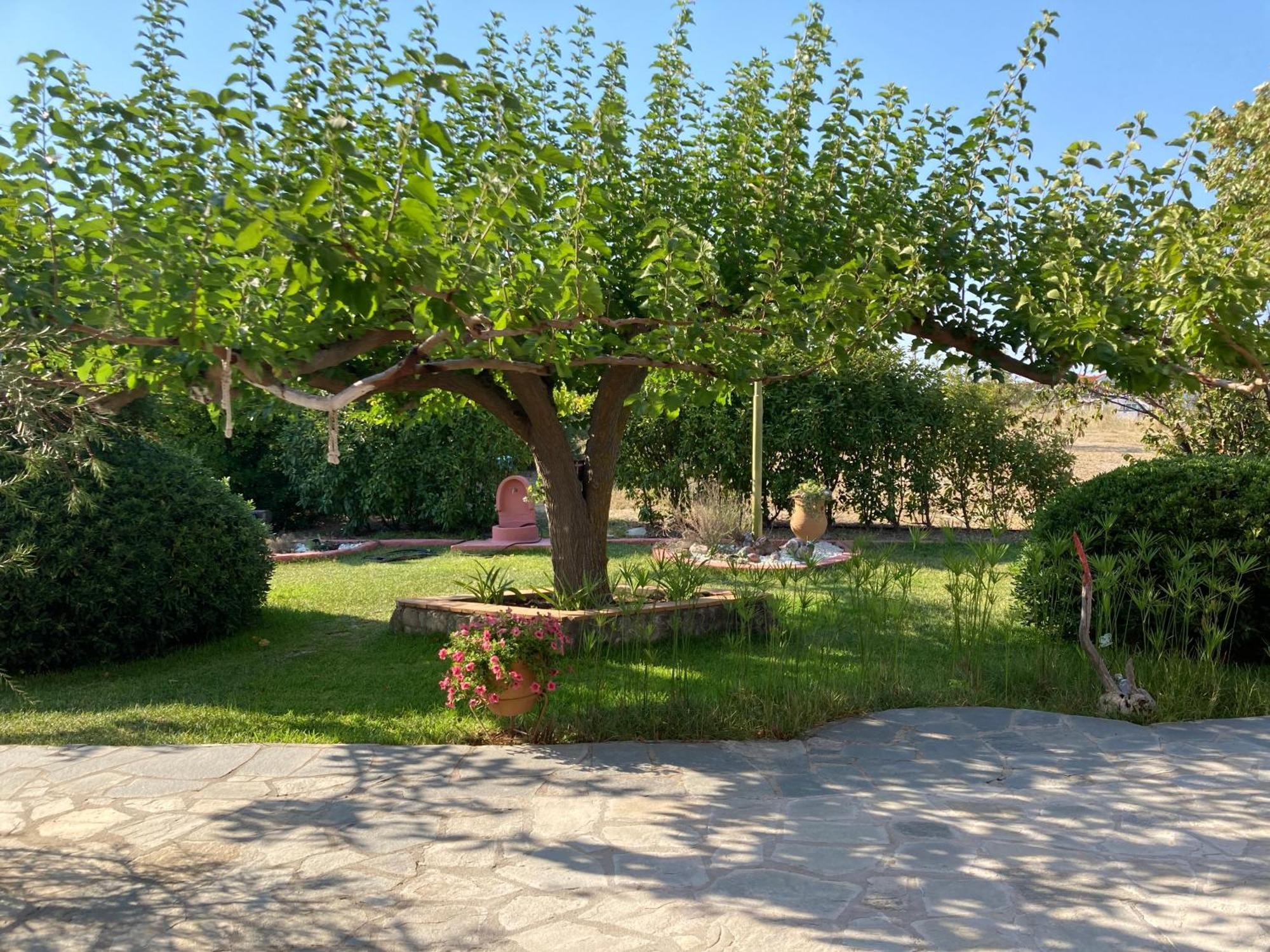 Apartament Marianna Sea View Afitos Zewnętrze zdjęcie